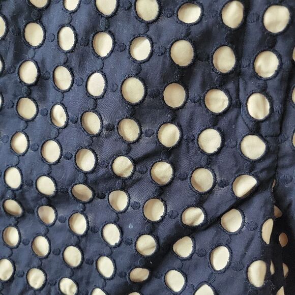 Ann Taylor Blue and Cream Eyelet Shorts - Picture 3 of 11